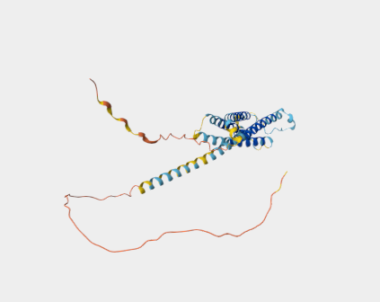 Anti-CD20 mAbs
