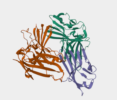 Anti-CD226 mAbs