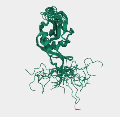Anti-CD23 mAbs