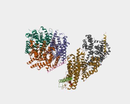 Anti-CD235b mAbs