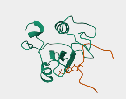 Anti-CD3 zeta mAbs