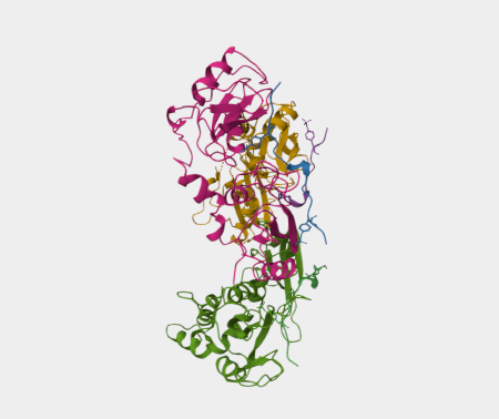 Anti-CD3 epsilon mAbs
