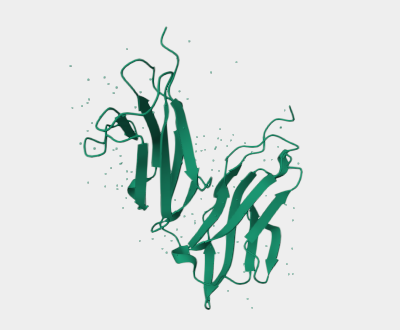 Anti-CD32b mAbs