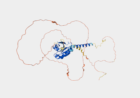 Anti-CD34 mAbs
