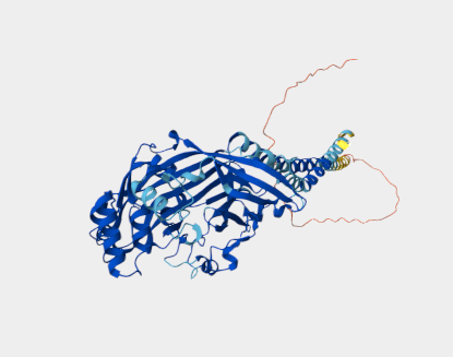 Anti-CD36 mAbs