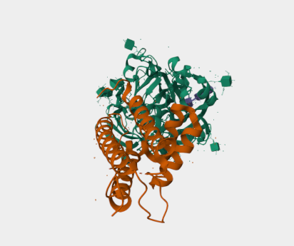 Anti-CD36 mAbs