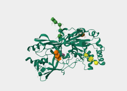 Anti-CD36 mAbs