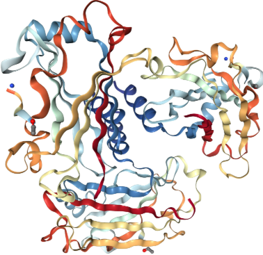 Anti-CD40 mAbs