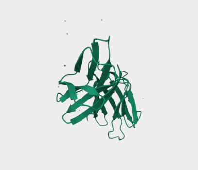 Anti-CD4 mAbs
