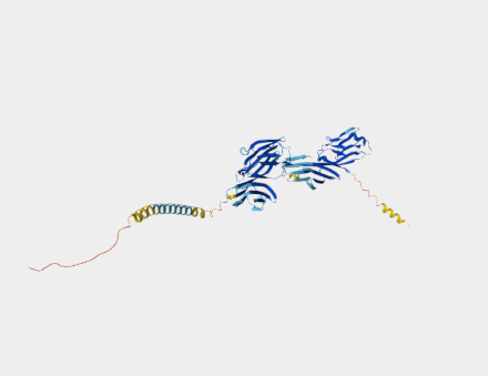 Anti-CD4 mAbs