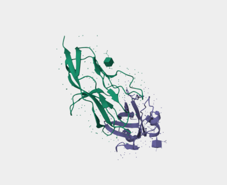 Anti-CD47 mAbs
