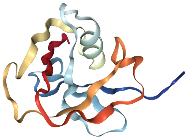 Anti-CD5 mAbs