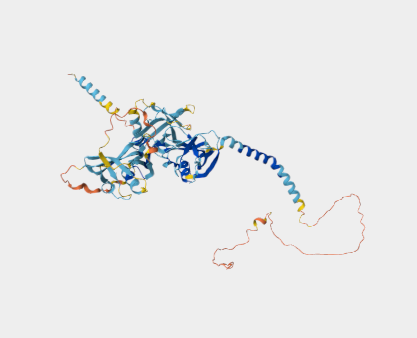 Anti-CD5 mAbs