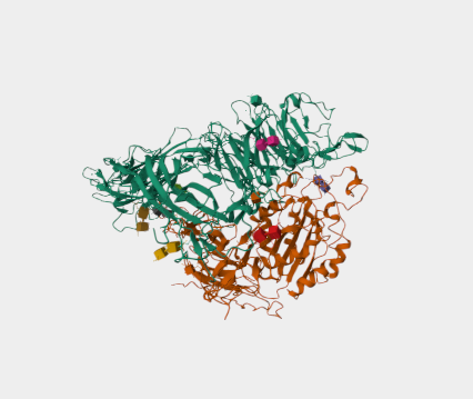 Anti-CD51 mAbs