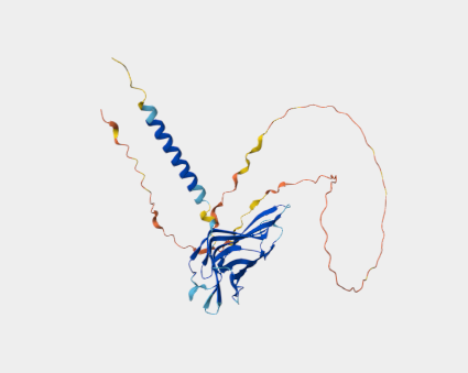 Anti-CD68 mAbs