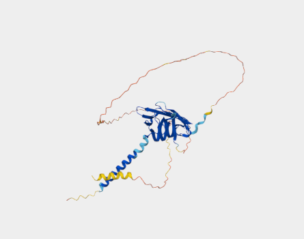 Anti-CD68 mAbs