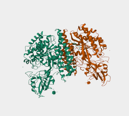Anti-CD71 mAbs