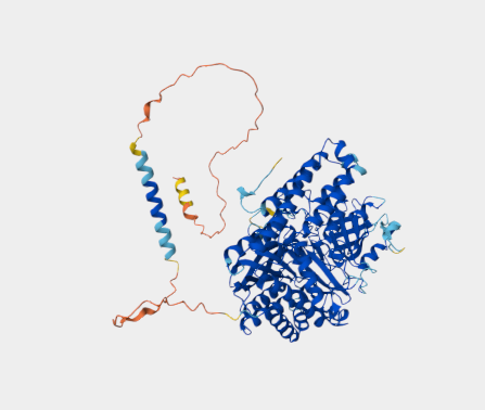 Anti-CD71 mAbs