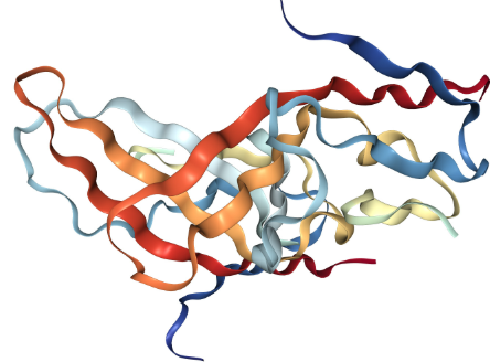 Anti-CD83 mAbs