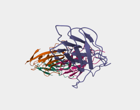Anti-CD86 mAbs