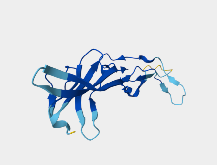 Anti-CD86 mAbs