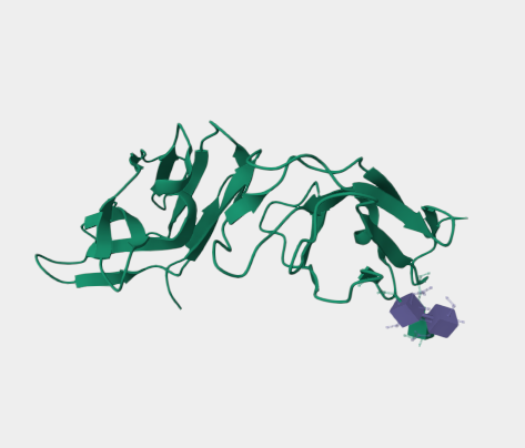 Anti-CD89 mAbs