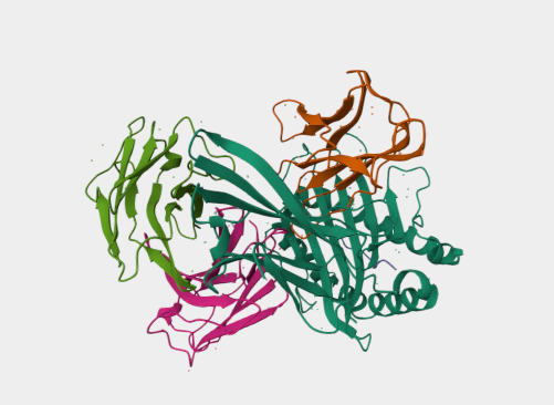 Anti-CD8a mAbs