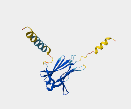 Anti-CD90 mAbs