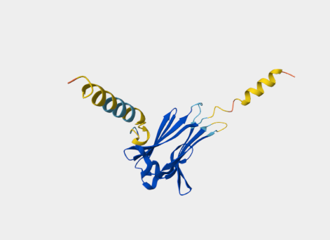 Anti-CD90 mAbs
