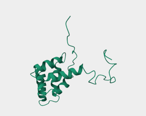 Anti-CD95 mAbs