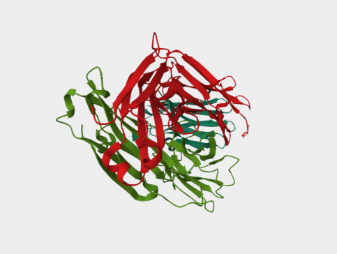 Anti-CD96 mAbs