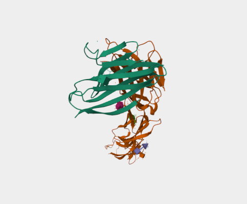 Anti-CD96 mAbs