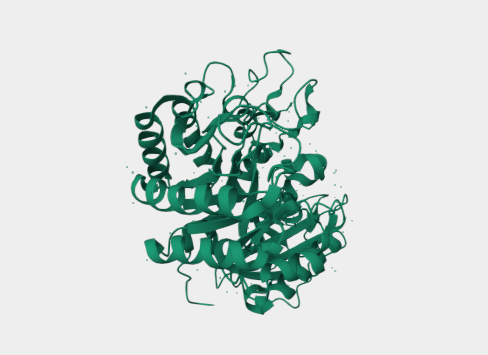Anti-CD98 heavy chain mAbs