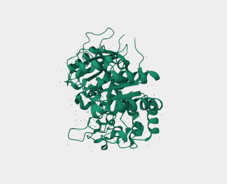 Anti-CD98 mAbs