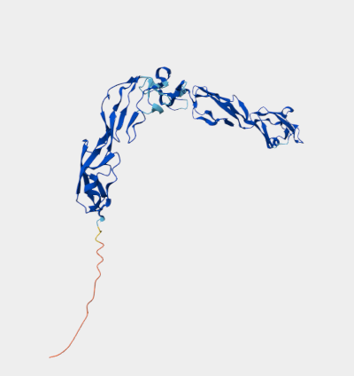 Anti-CFHR3 mAbs