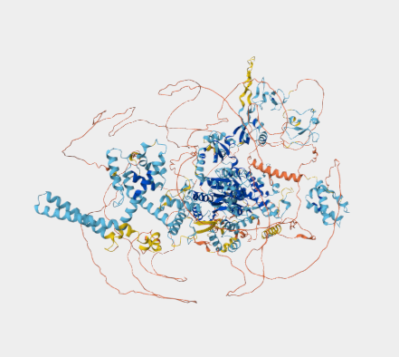 Anti-CHD3 mAbs
