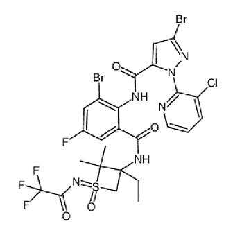Anti-Chikungunya virus mAbs