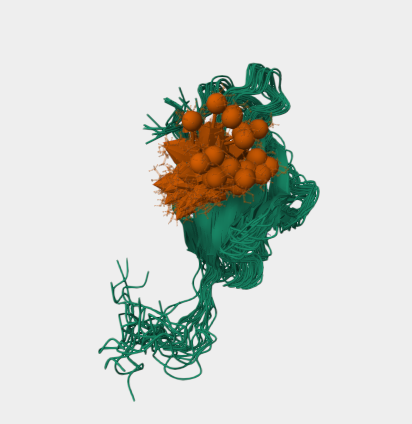 Anti-CTLA4 mAbs