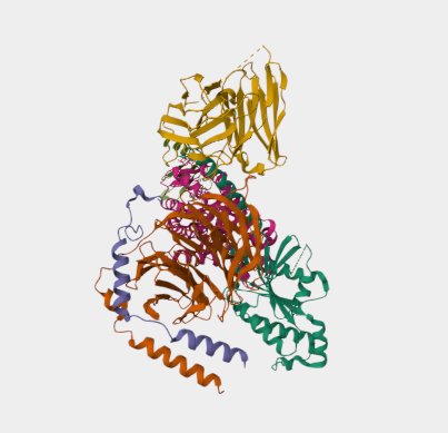 Anti-CXCR3 mAbs