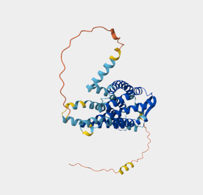 Anti-CXCR3 mAbs