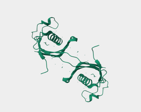 Anti-Cystatin C mAbs
