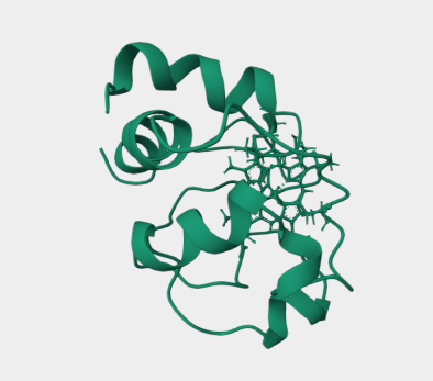 Anti-Cytochrome C mAbs