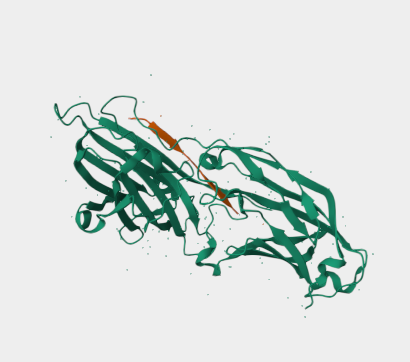 Anti-Cytokeratin 10 mAbs