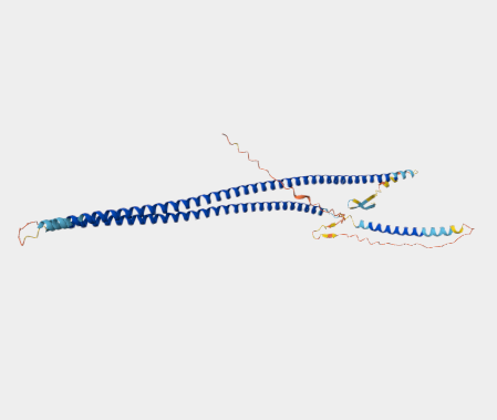 Anti-Cytokeratin 18 mAbs