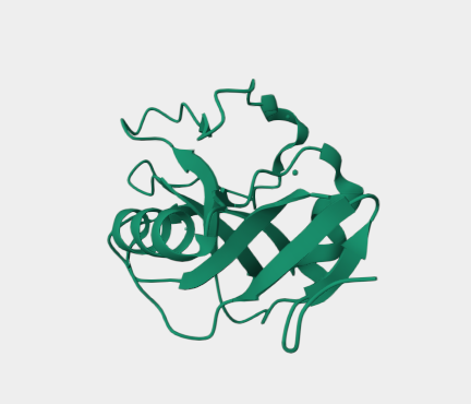 Anti-DCIR mAbs