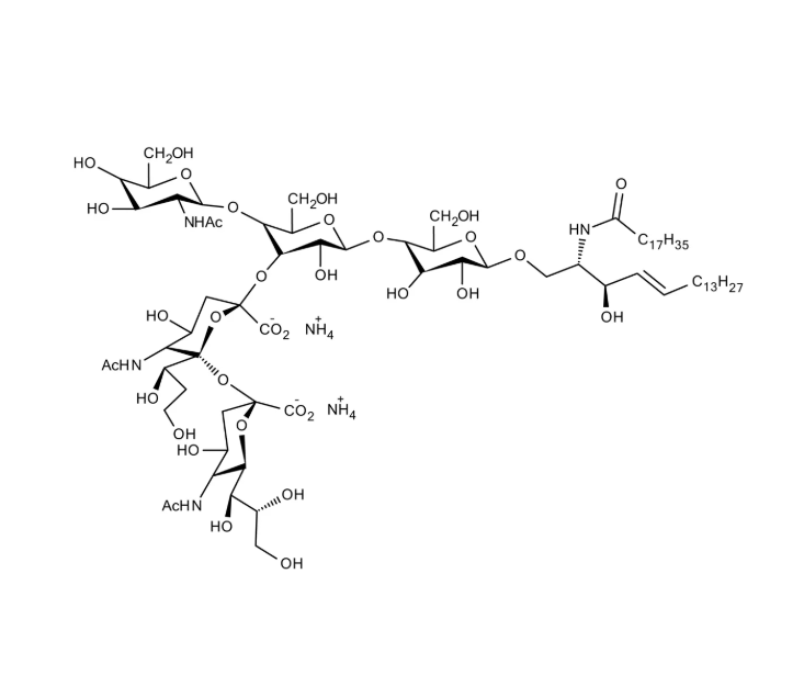 Anti-Disialoganglioside 2 mAbs