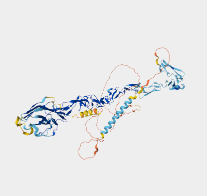 Anti-Dll1 mAbs