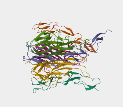 Anti-DR5 mAbs