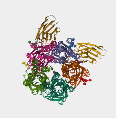Anti-DR5 mAbs