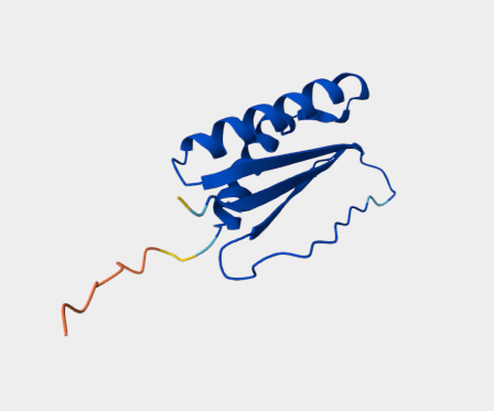 Anti-Dynein Light Chain Tctex-